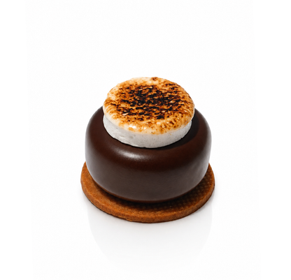 TOASTED S'MORES